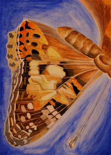 butterfly-watercolor-1 watercolor where you can see through the top layer of time/ The view of the present is obscured by the views of the past
