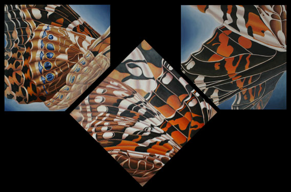 butterfly-tryptic1