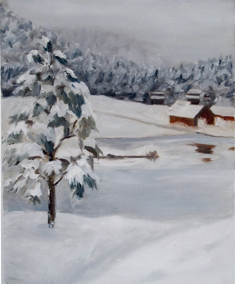 WinterPondweb