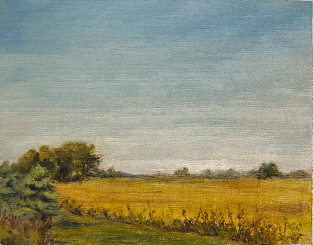 Illinois10162015aweb