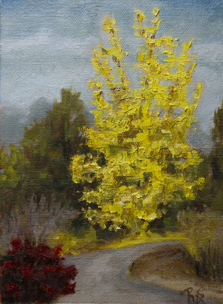 Colorado101616web